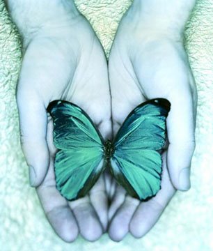 [borboletanamao.jpg]