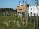 View of the house on October 2