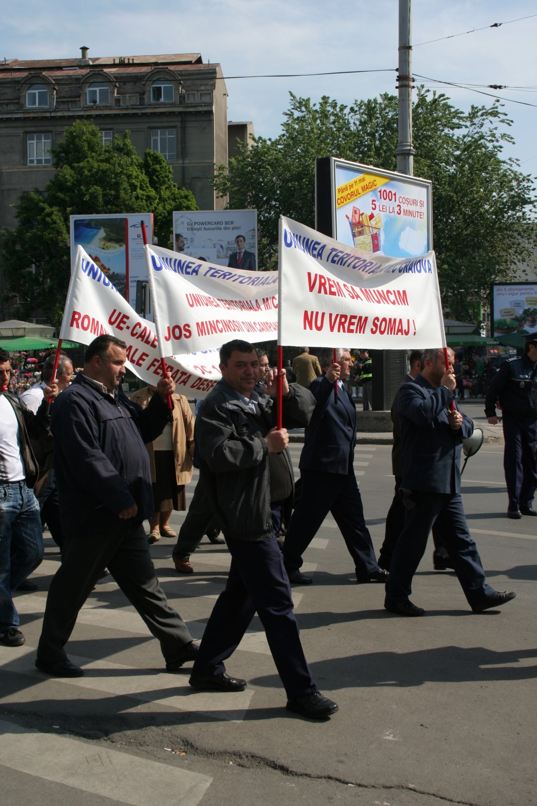 [picture+003.jpg]
