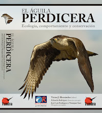 El aguila perdicera