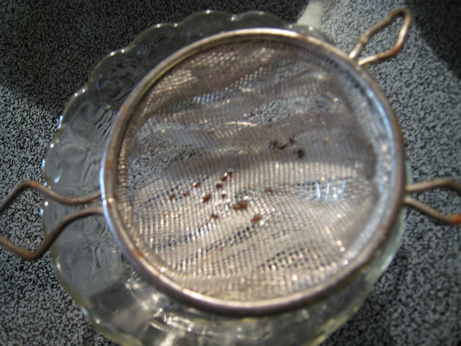 Empty Nest Feathers Scientific Method The Fruit Fly