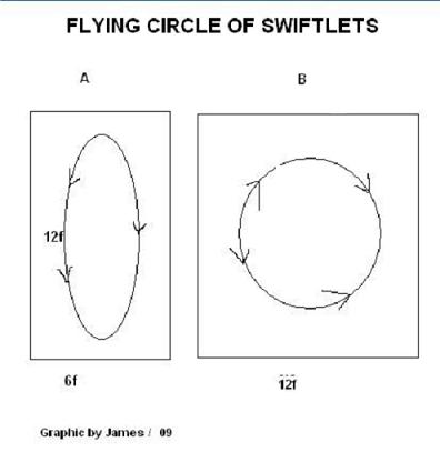 [Flying+circle.JPG]