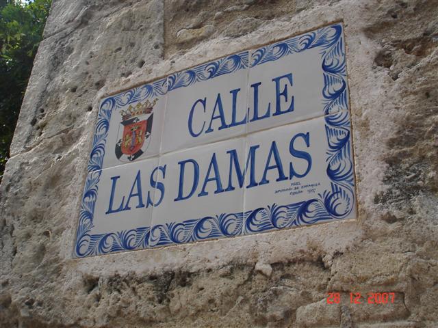 [DSC04430+(Small).JPG]