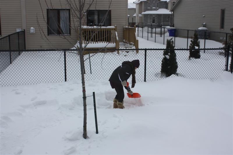 [IMG_0240+(Medium).jpg]