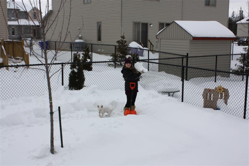 [IMG_0245+(Medium).jpg]