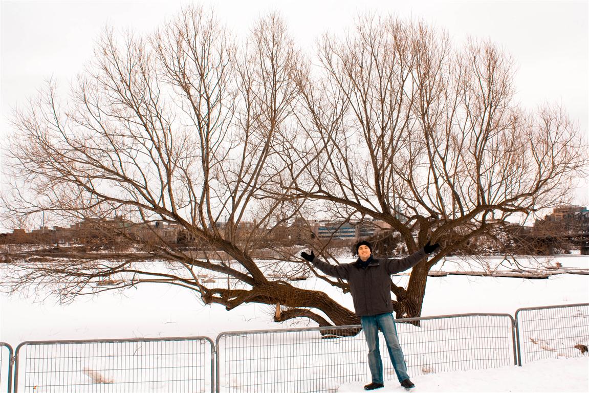 [Dig_winterlude2+(1+of+1)+(Medium).jpg]