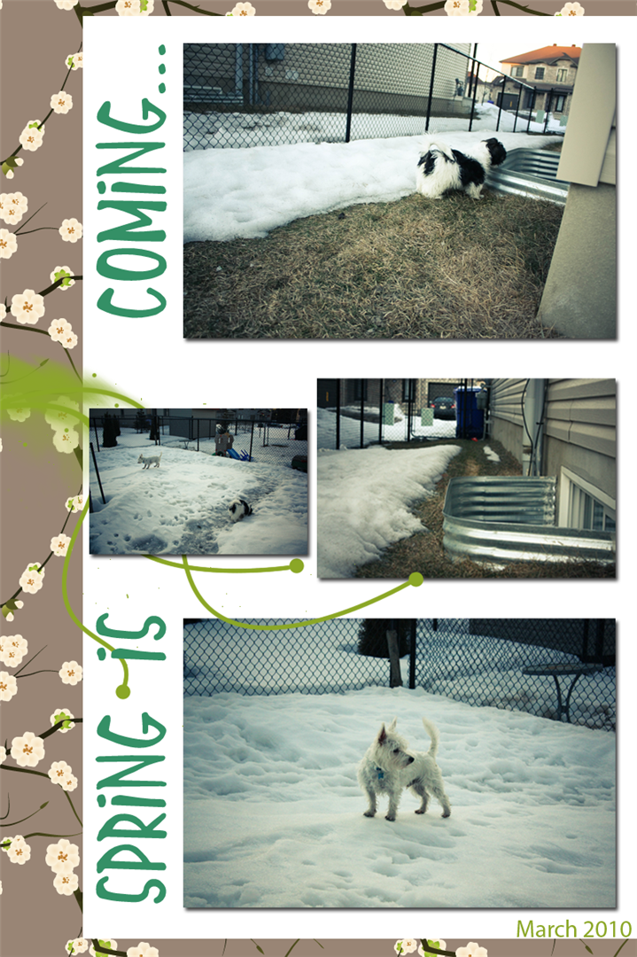 [march+2010+(Large).png]