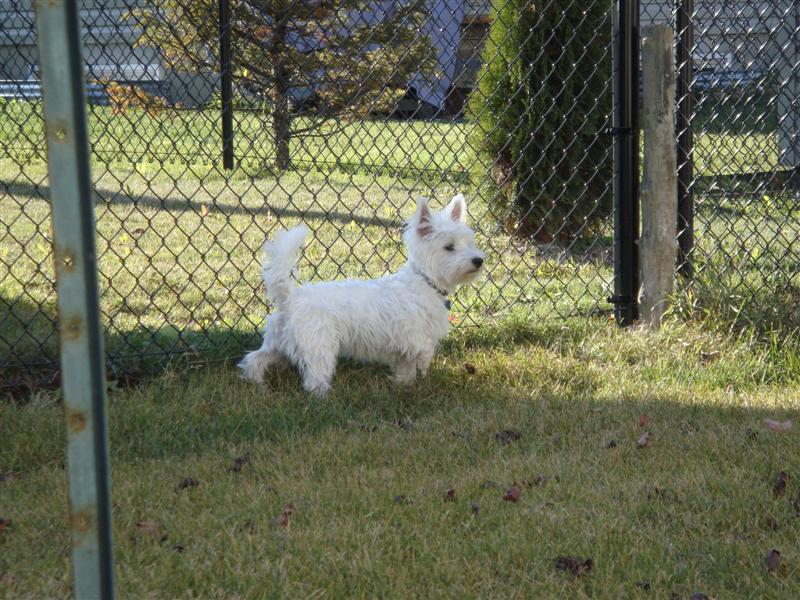 [DSC03550+(Medium).JPG]