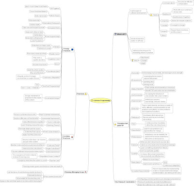 Extreme Programming Practices