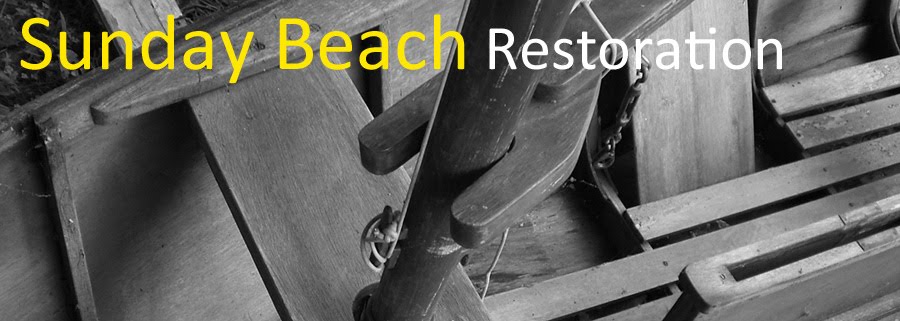 Sunday Beach Restoration