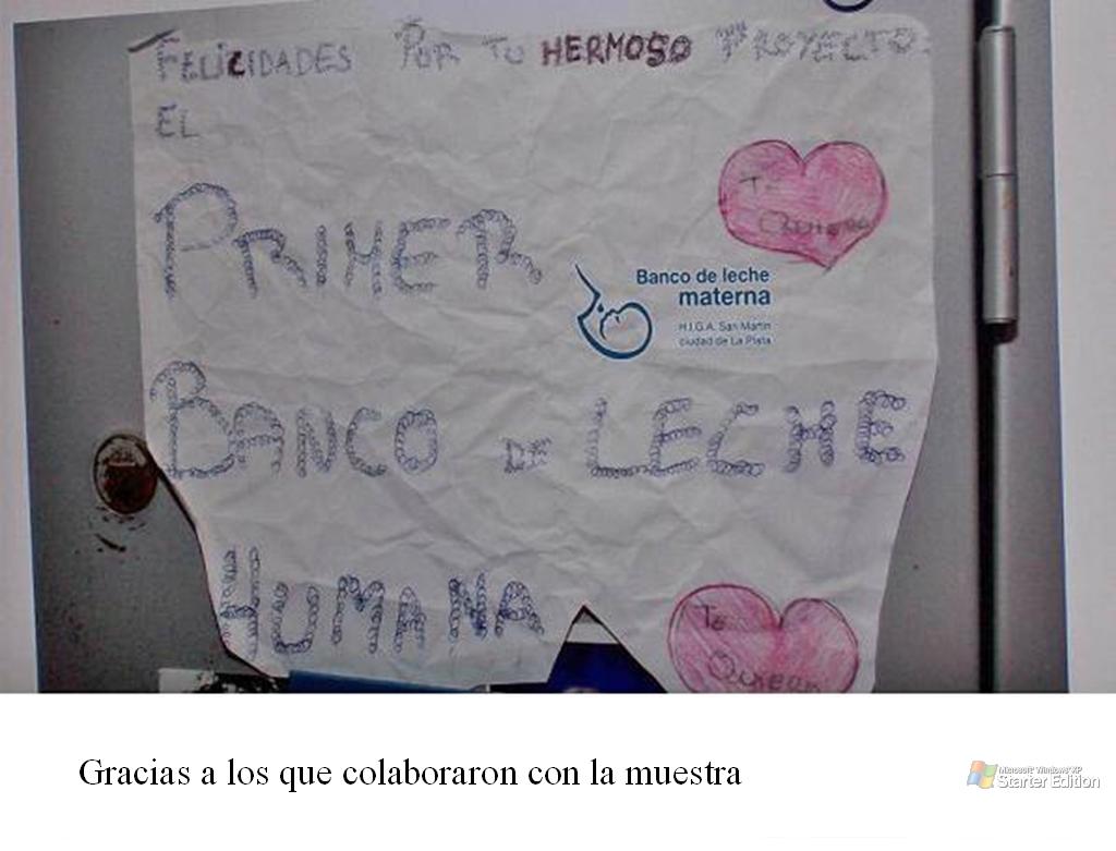 [foto+9a.JPG]