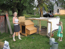 Big Mama cleaning the coop