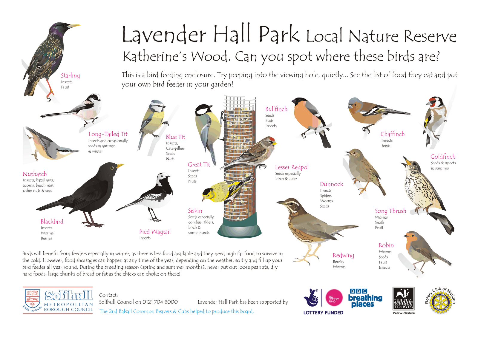 bird identification poster bird identification poster