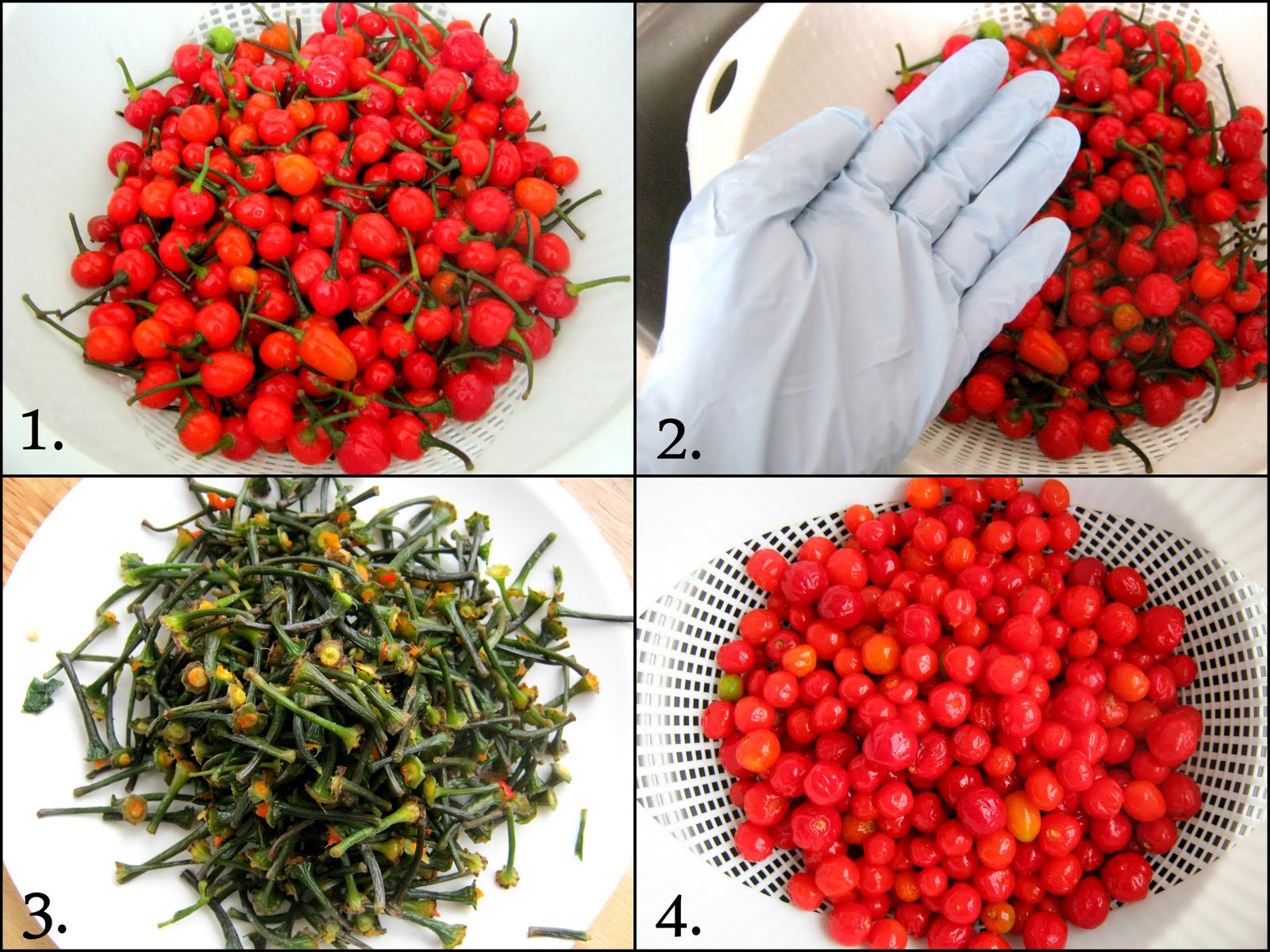 West Indian Pepper Sauce Alica's Pepperpot