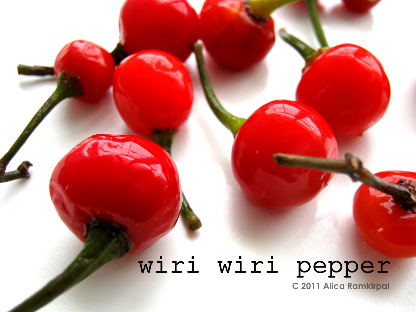 West Indian Pepper Sauce Alica's Pepperpot