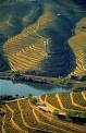 [Paisagem+do+Douro.jpg]