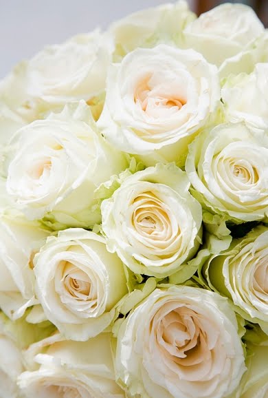 White Lovelies