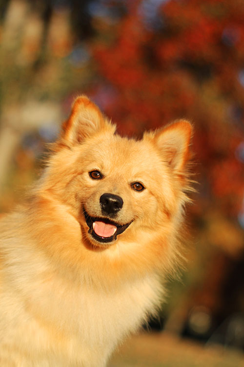 [IMG_3473rev_small.jpg]