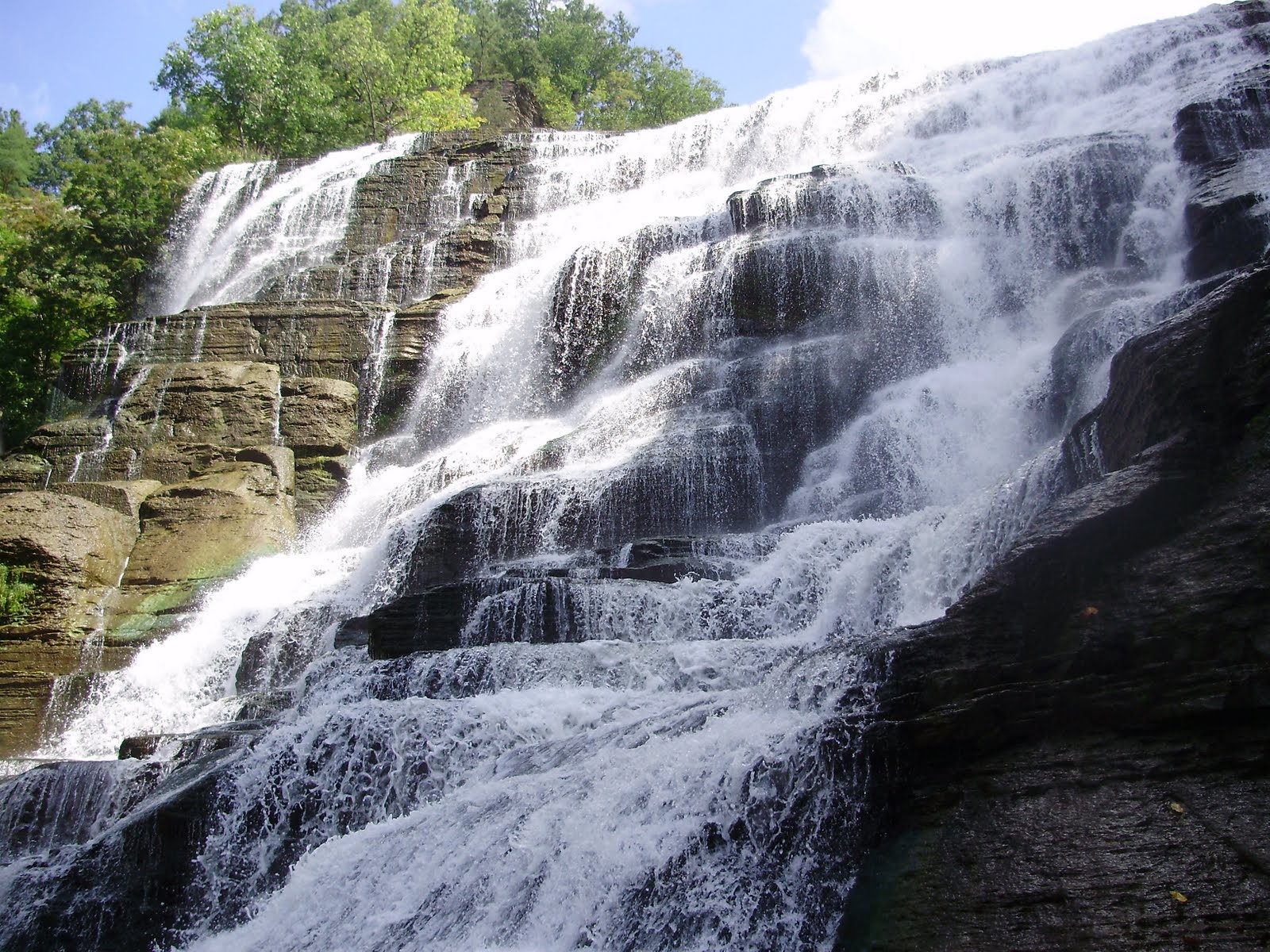 [Image: P9160520.JPG]