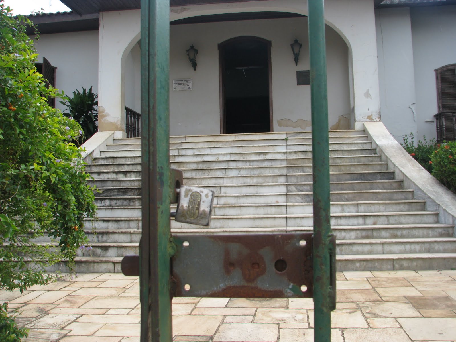 [IMG_1395[1]]