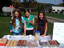 Bake Sale
