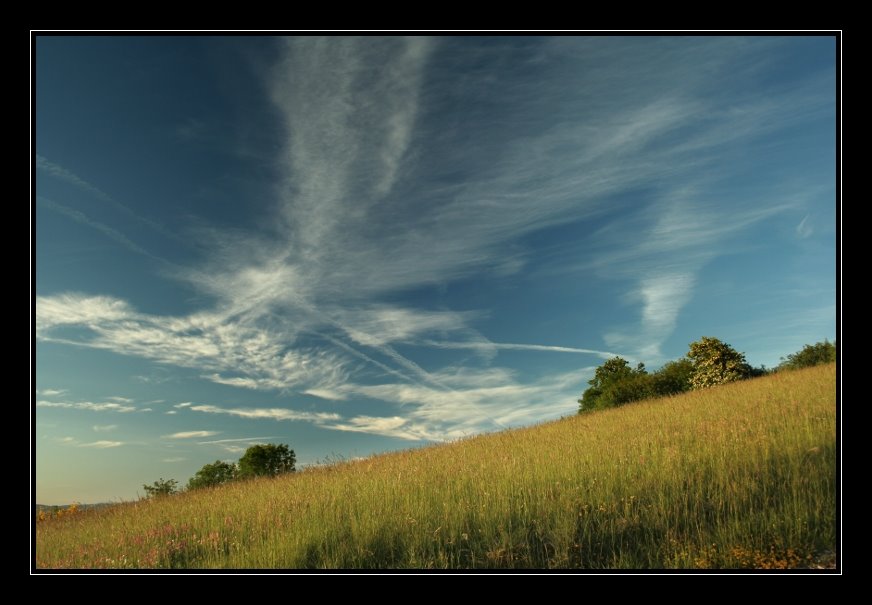 [IMG_3075border.JPG]
