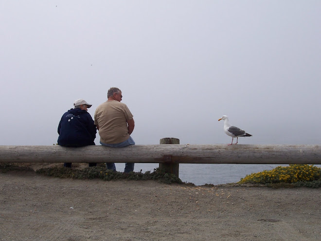 Couple With Seagull