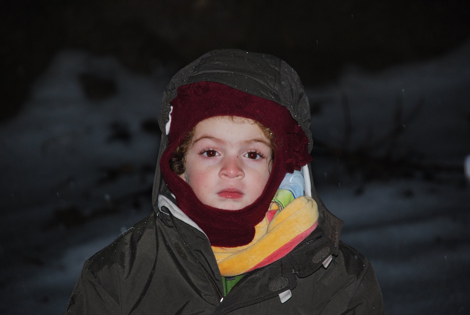 [DSC_0064.JPG]