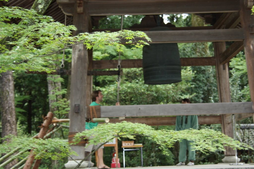 [IMG_4391.JPG]