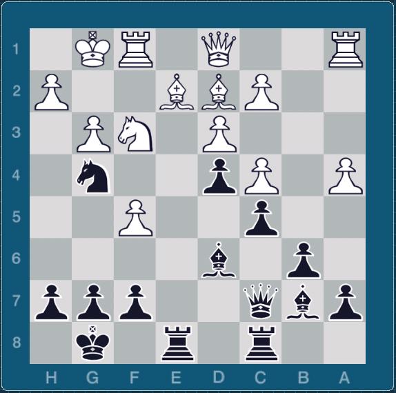 [chess3.JPG]