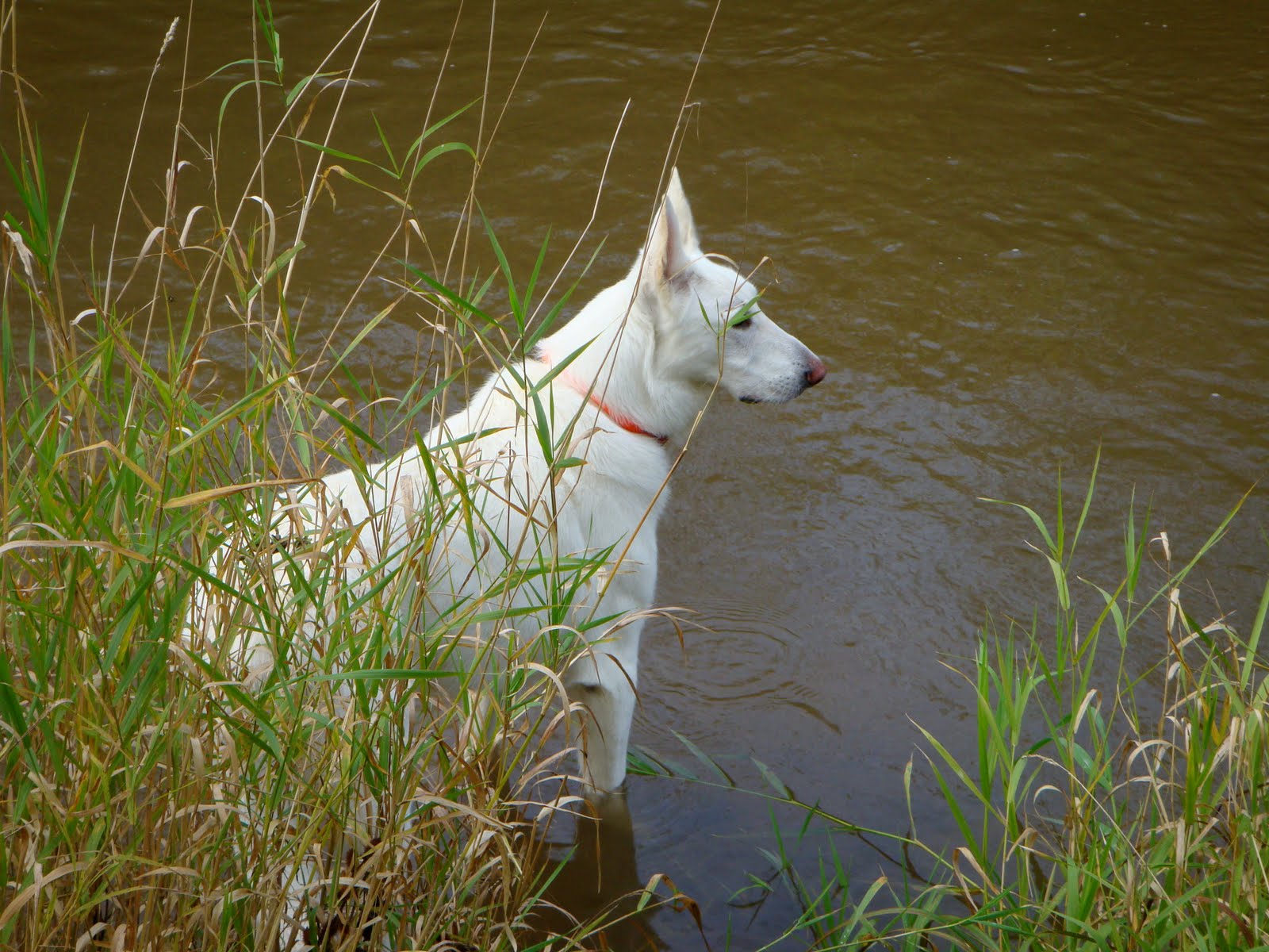 [DSC04084.JPG]