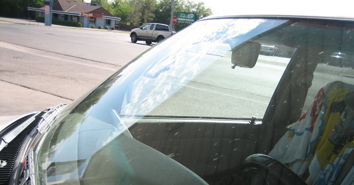 Watching the World Wake Up Why does Every Bug end up on my Windshield?