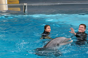 Nicole interactua con el delfin