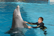 nicole sola con su amigo el delfin