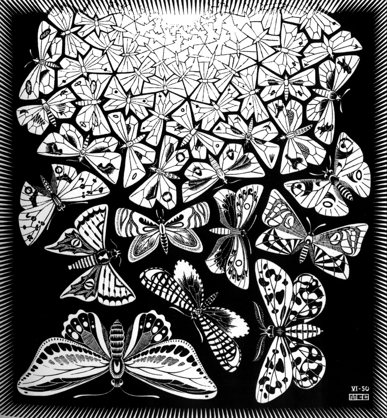 [27+-+Papillons+[1950].jpg]
