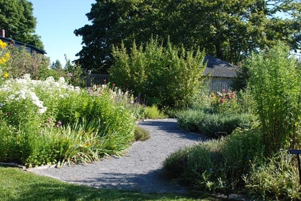 Art and Influence: Butterfly Garden Demo