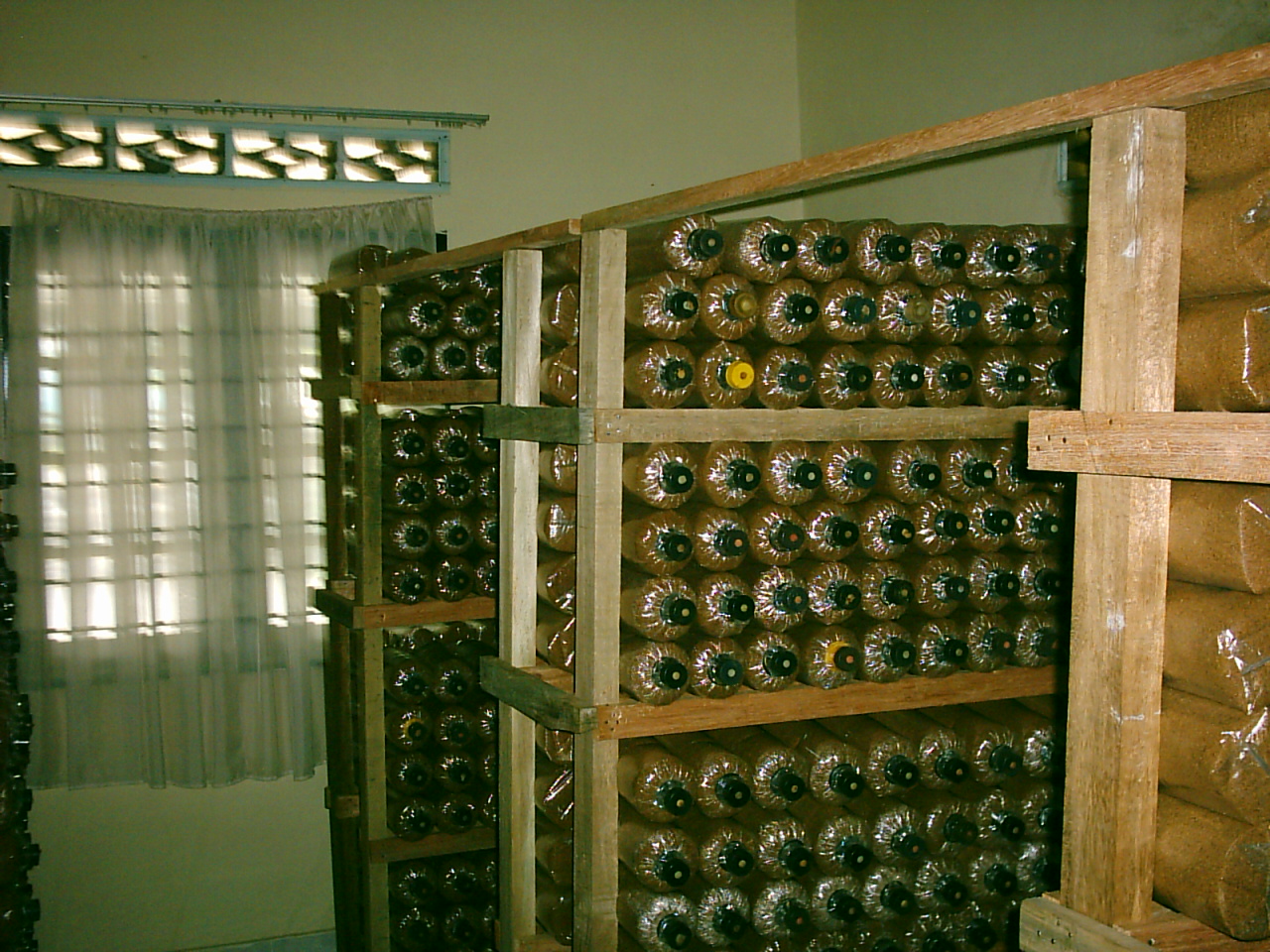 [lintah+Cherating+Bt+Caves+012.jpg]