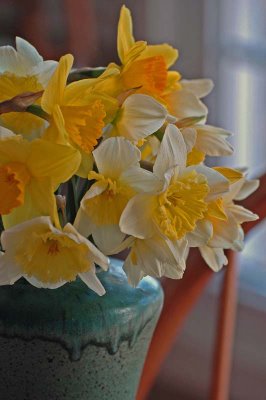 [closeup+of+first+daffodil+bouquet+2008.jpg]