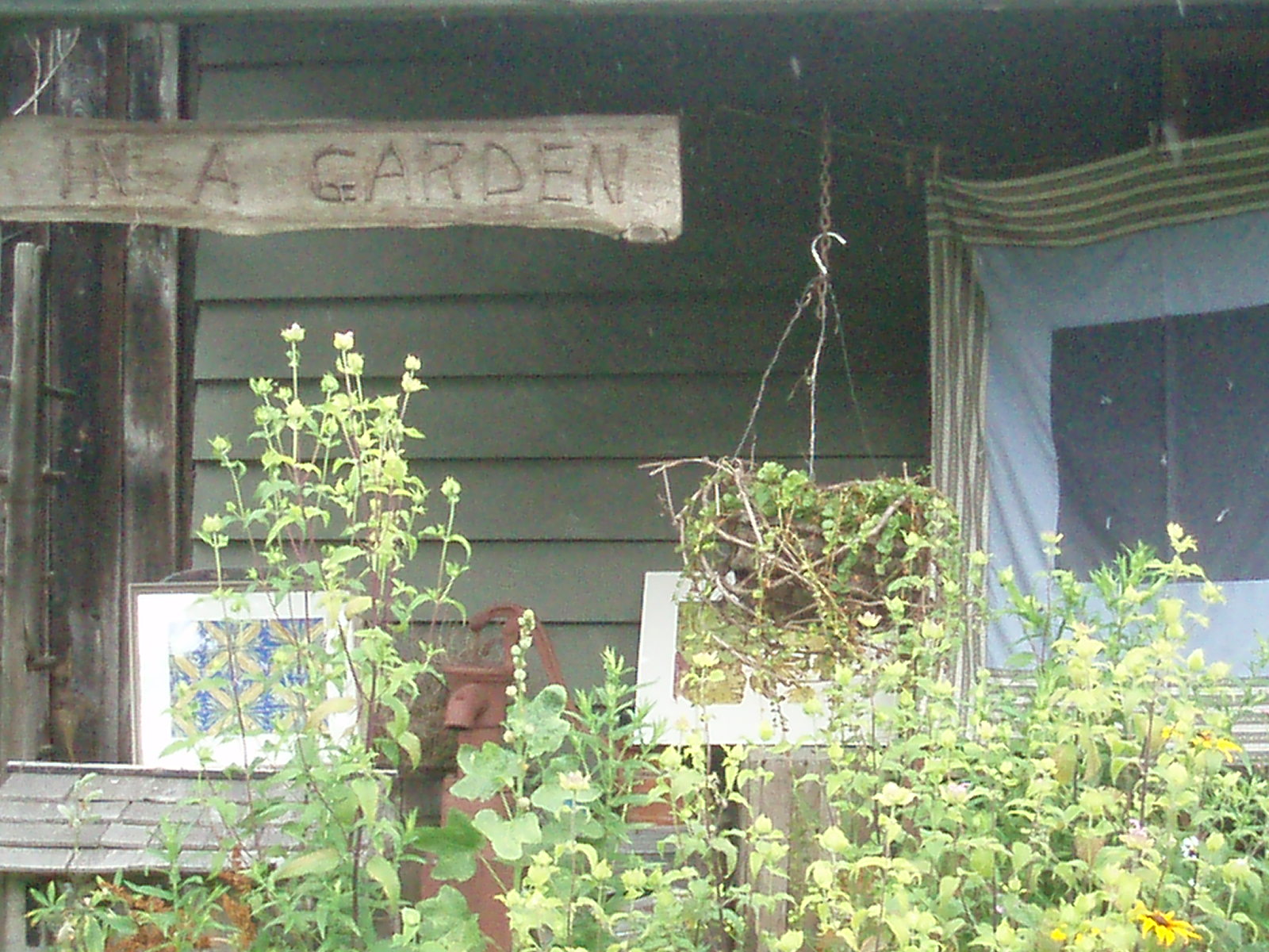 [P7190247.JPG]