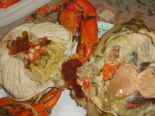 Philippines Crab