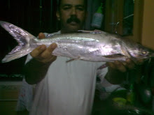 Catfish (Duri)