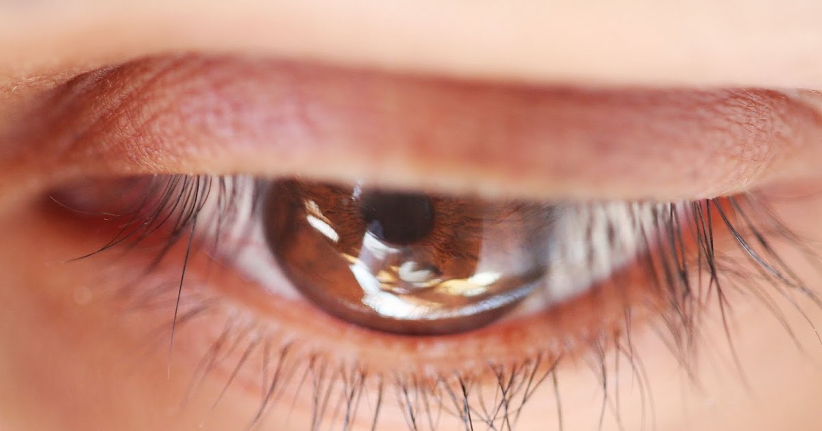 Eclectic Breakfast Sifting the Academic Literature