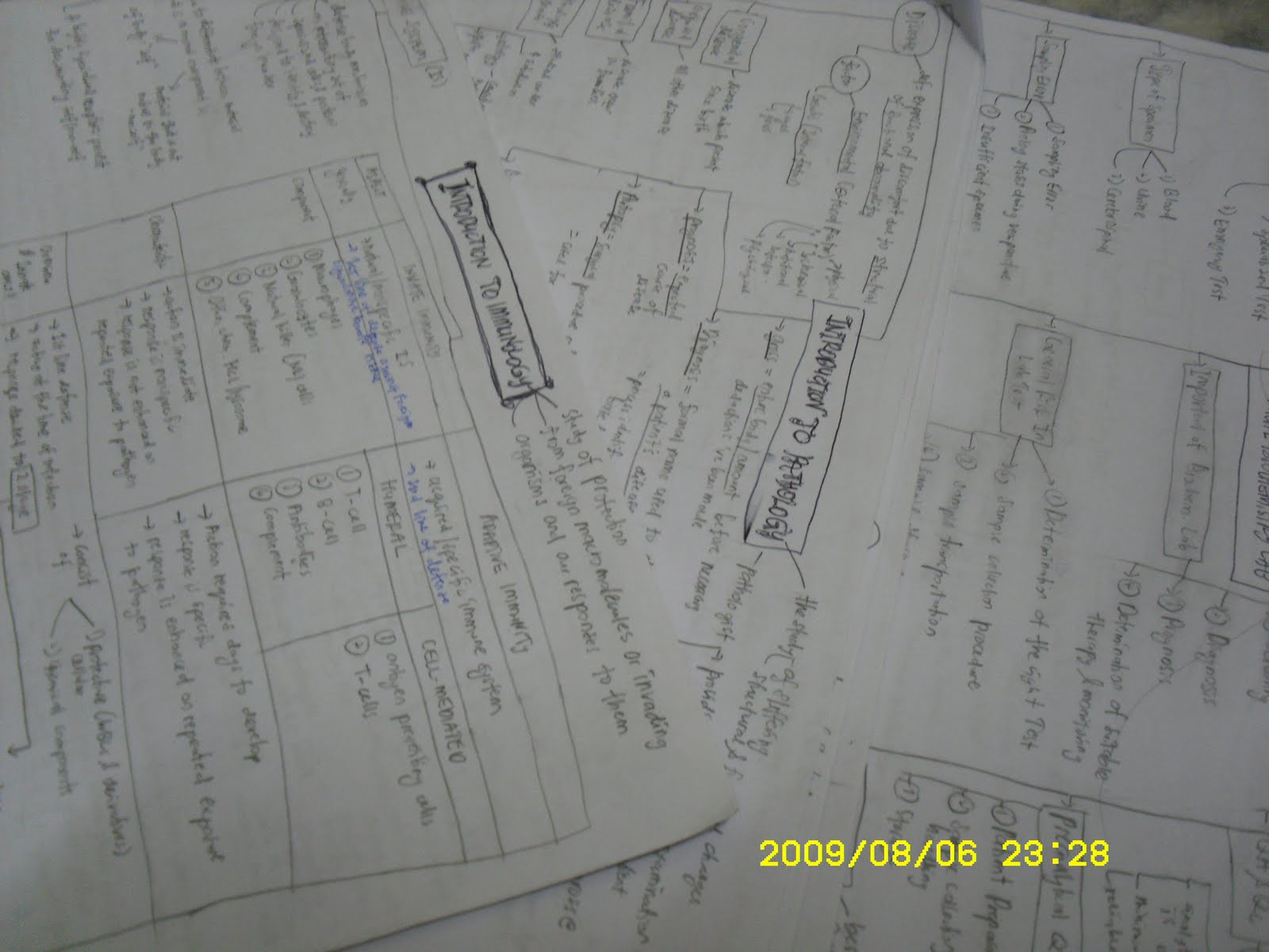 [SDC10645.JPG]