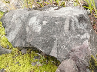 A large block of mixed magmas ejected in the directed blast on May 18th. Geologist's foot for scale. Image courtesy Helena Mallonee. A large block of mixed magmas ejected in the directed blast on May 18th. Geologist's foot for scale. Image courtesy Helena Mallonee.