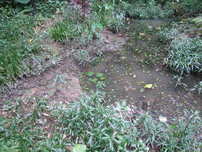 [DSCF4523_大小.JPG]