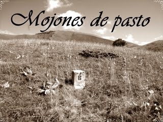 Mojones de pasto