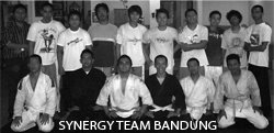 Synergy Team Bandung