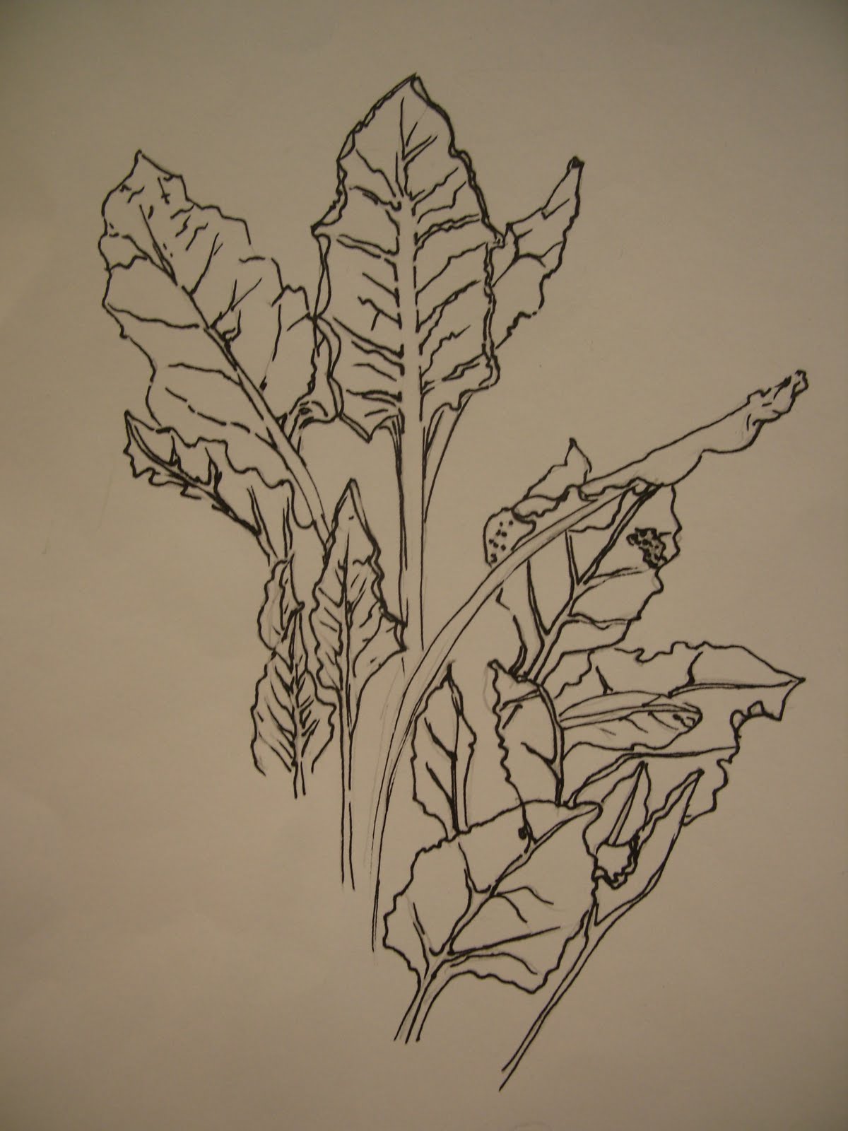 The drawing unit includes two