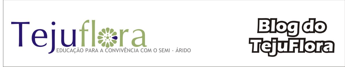 Blog do Tejuflora