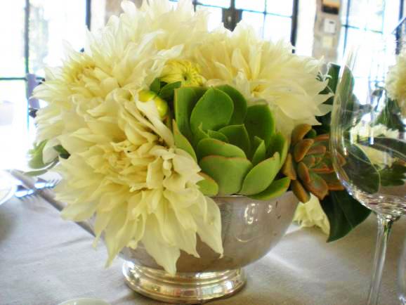 Green succulents and white dinner plate Dahlias in a vintage silver revere